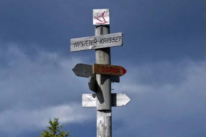 Wandelen in de regio
