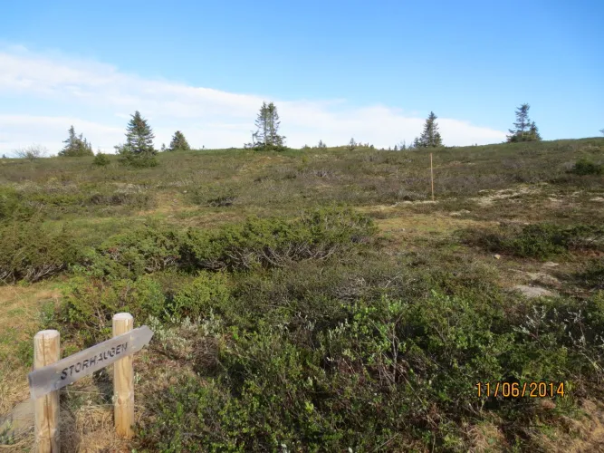 Wandelen in de regio