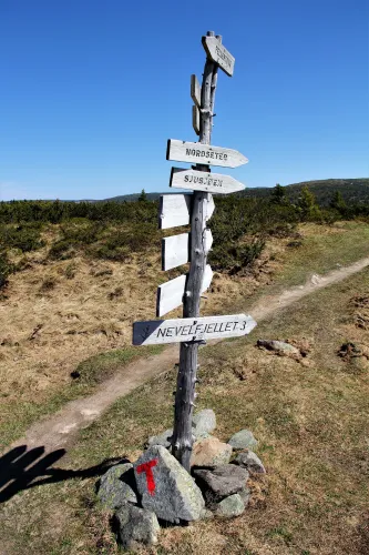 Wandelen in de regio