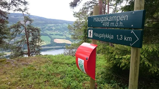 Wandelen in de regio