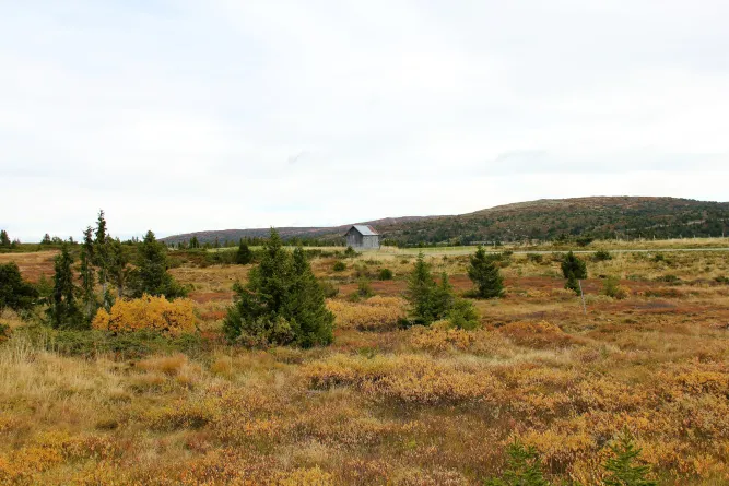 Wandelen in de regio