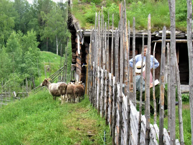 Maihaugen openluchtmuseum