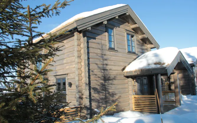 Pjeksen 15