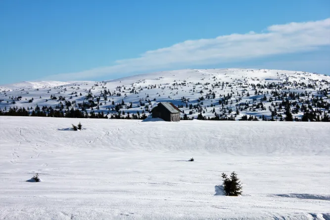 Langlaufen in de regio Lillehammer