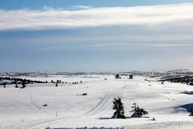 Langlaufen in de regio Lillehammer