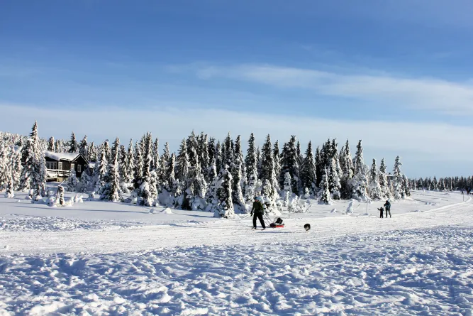 Langlaufen in de regio Lillehammer