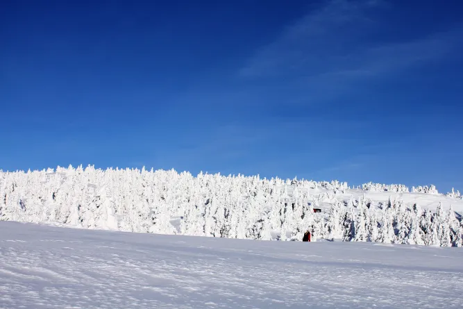Langlaufen in de regio Lillehammer