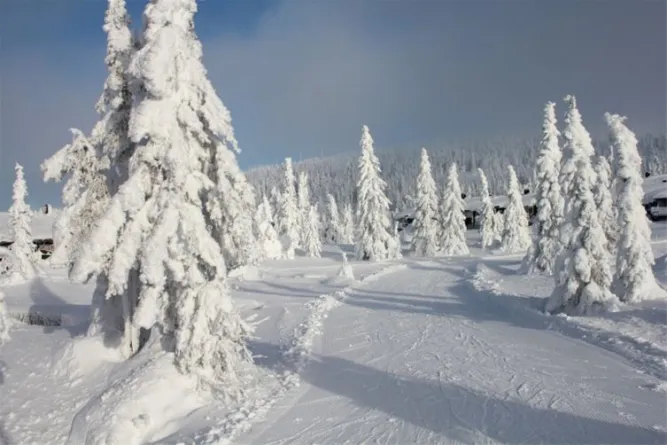 ski.jpg
