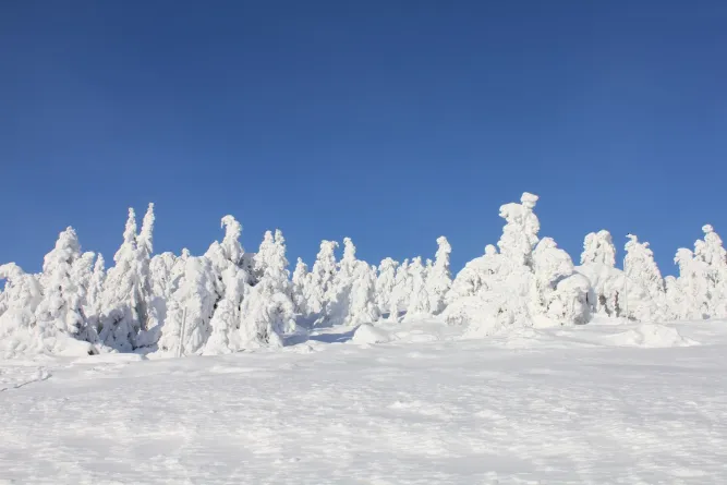 Skireis van Hafjell naar Lillehammer