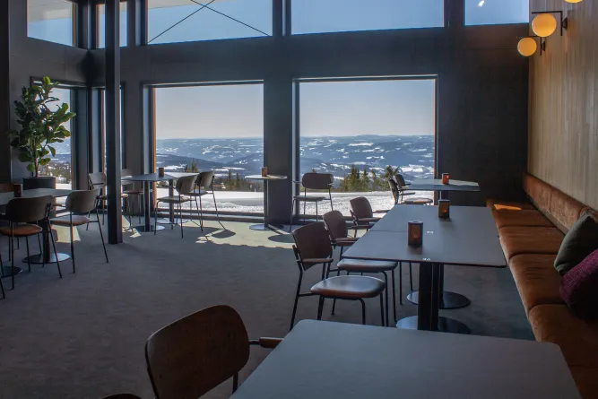 Vidsyn restaurant
