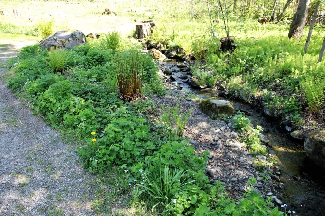Bjerkebæk in Lillehammer
