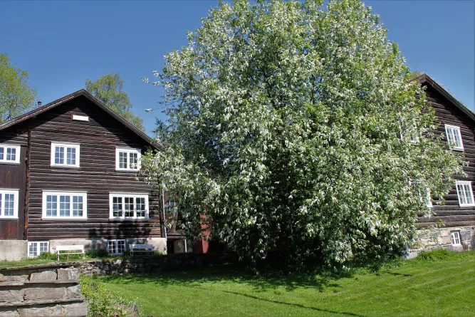 Bjerkebæk in Lillehammer