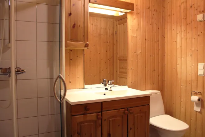 A bathroom with wooden wall and sink.