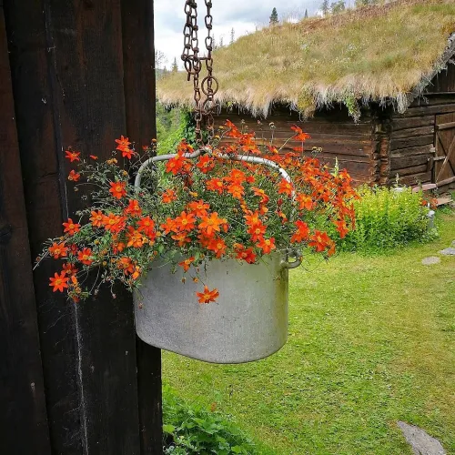 Bjørnsonweg