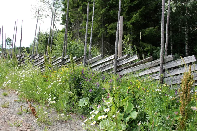 Het Prøysenhuis