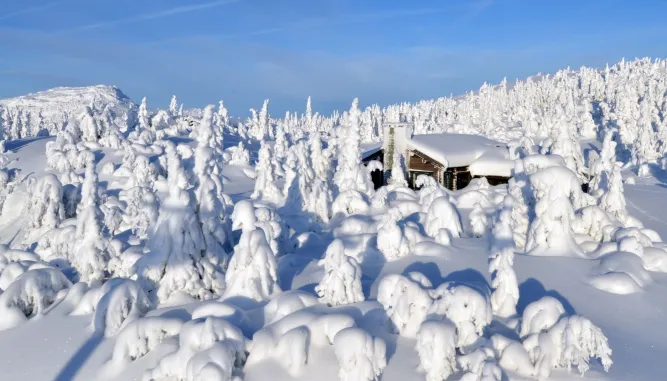 Kvitfjell Alpenresort