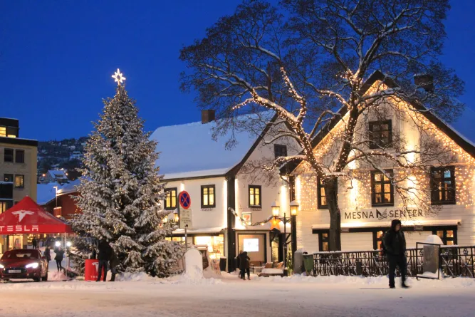 Kerstmarkt Lillehammer