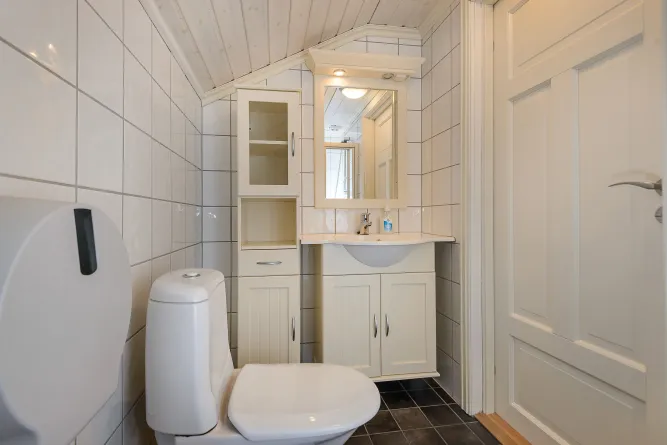 Tegelbadkamer met wit toilet, wastafelmeubel en spiegelkast onder een schuin plafond, naast een deur..
