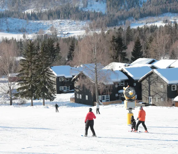 Skiërs op een besneeuwde piste bij donkere chalets en dennenbomen, met heuvels en bos op de achtergrond..