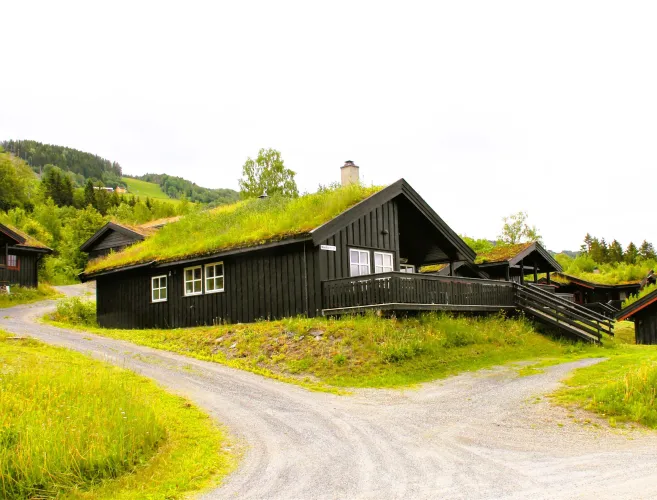 Zwart houten huisje met grasdak en veranda langs een grindpad, omringd door groen heuvelachtig landschap..
