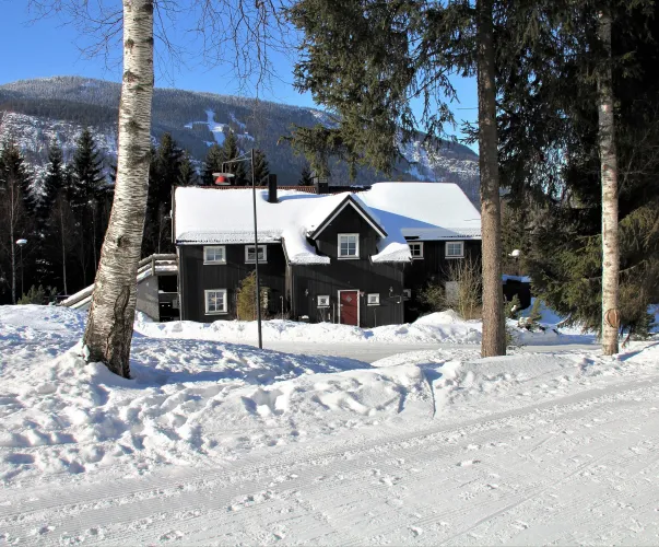 Zwart houten huis met besneeuwd dak tussen berken en dennen, met besneeuwde weg en bergen op de achtergrond..