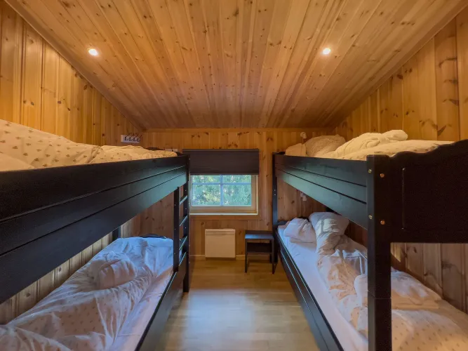 Houten slaapkamer met twee stapelbedden, opgemaakte bedden, plafondspots en een raam met uitzicht op bomen..