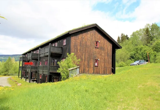 Großes dunkles Holzgebäude mit Balkonen und roten Fenstern auf einer Wiese am Hang, Wald und Himmel im Hintergrund..