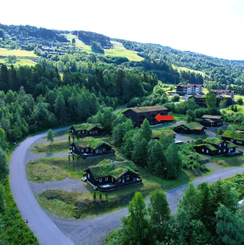 Luftaufnahme eines Ferienhausgebiets mit dunklen Holzhäusern, kurviger Straße und dichter Waldlandschaft am Hang..