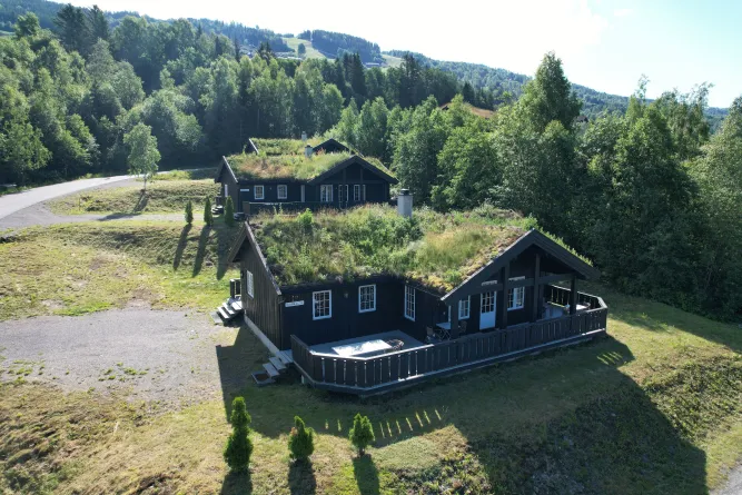 Luchtfoto van twee houten vakantiehutten met groendaken en terras, omringd door bos en heuvels bij zonlicht..