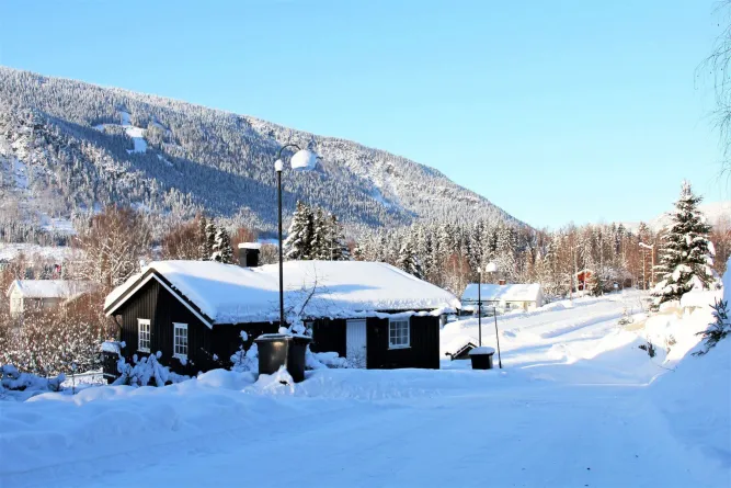 Schwarzes Holzhaus mit schneebedecktem Dach an einer geräumten Straße, dahinter Tannenwald und Berg im Sonnenschein..
