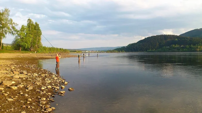 Mehrere Angler stehen im flachen Fluss nahe einem steinigen Ufer, mit Waldhängen und bewölktem Himmel..
