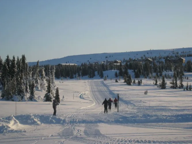 Flotte langrennsløyper fra Gaiastova.