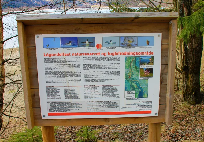 Houten informatiebord met foto’s van vogels, kaart en tekst over een natuurreservaat, in bosrijke omgeving..