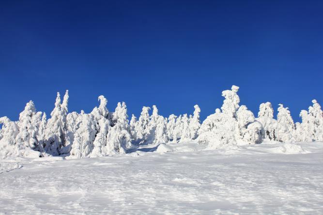 Vinterferie i Hafjell