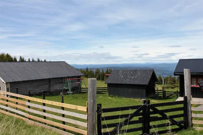 Vissen in Øyerfjellet