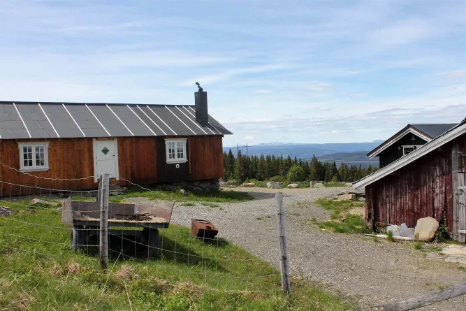 Vissen in Øyerfjellet