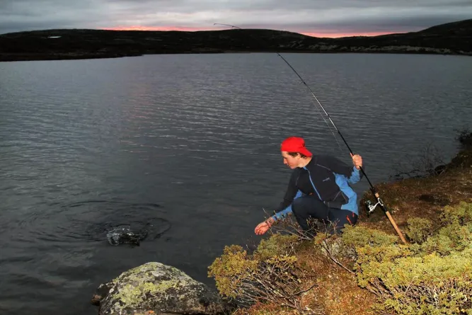 Vissen in Øyerfjellet