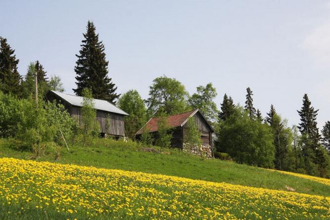 Turstier i Øyer kommune