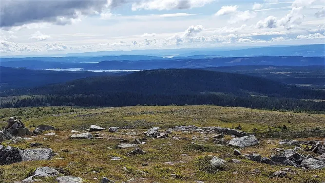 Vogels spotten in Øyerfjellet