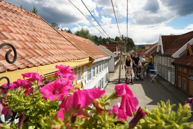 Stadswandeling in Lilleputthammer