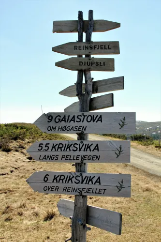 Vogels spotten in Øyerfjellet