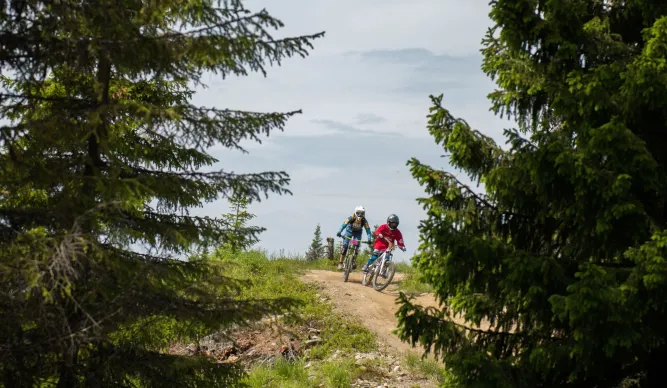 Hafjell Bike Park 