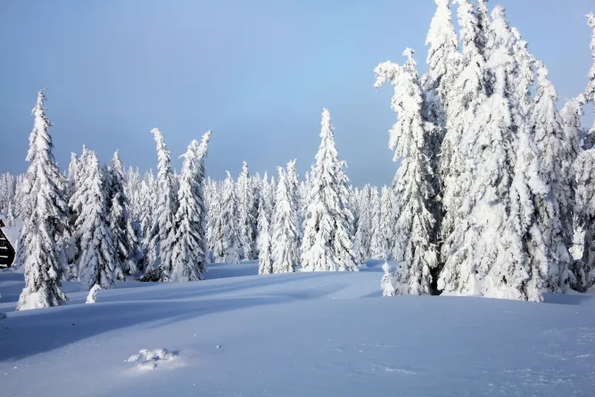 Langlaufen in de regio Lillehammer