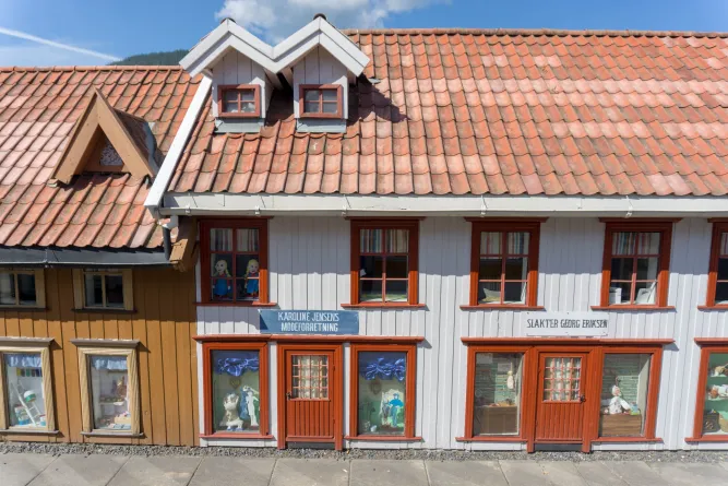 Stadswandeling in Lilleputthammer