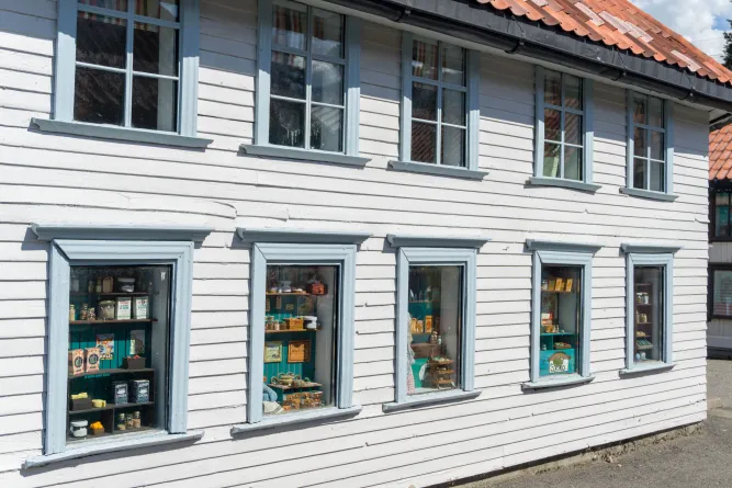 Stadswandeling in Lilleputthammer
