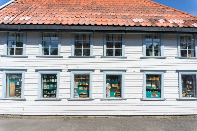 Stadswandeling in Lilleputthammer