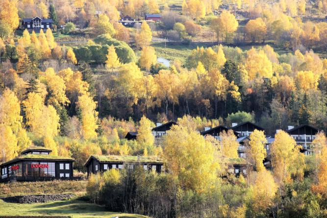 Autumn holidays in Hunderfossen Adventure Park