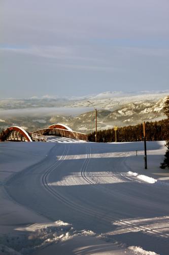 Mosetertoppen ski stadium