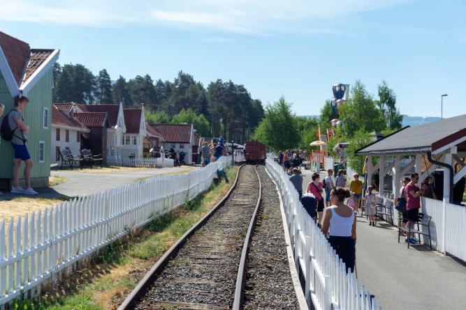 Lilleputthammer train