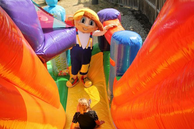 Jump slide and bouncy castle 